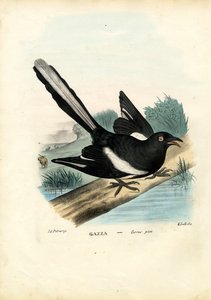 Urraca, 1863-79 de Raimundo Petraroja